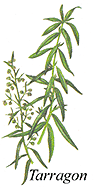 
Herb: Tarragon.
